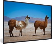 Photo en cadre - Cadre photo lamas prêt à voyager noir sans passe-partout 60x40 cm - Affiche sous cadre (Décoration murale salon / chambre)