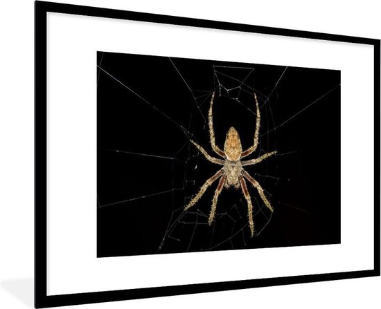 Ontwaken bereiken weerstand bieden Photo dans le cadre - Cadre photo Wheel web spider in action noir avec passe  partout... | bol.com