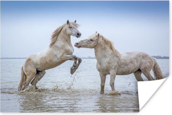 Poster Deux chevaux dans l'eau en Camargue papier 160x120 cm - Tirage photo sur Poster (décoration murale salon / chambre) XXL / Groot format!