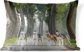Coussins d'extérieur - Jardin - Quatre huskies parmi les arbres - 50x30 cm