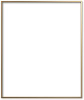 Moderne Lijst 60x90 cm Goud - Rose