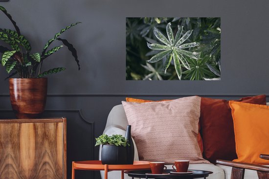 Sticker Muursticker Rosée précoce - Gouttes de rosée précoce sur feuilles - 60x40 cm - film adhésif autocollant - sticker mural repositionnable