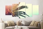 Schilderij -Palmboom,    5 luik, 200x100cm, Premium print