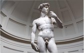 David, Michelangelo's meesterwerk in Florence - Foto op Forex - 60 x 40 cm