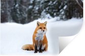 Stickers Stickers muraux - Renard - Neige - Forêt - 30x20 cm - Feuille adhésive