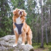 Rukka Pets Comfort Air Harness - Lichtgewicht en Ademend Hondentuig - Ergonomisch design - Geel, Roze en Grijs - XS / S / M / L / XL - Kleur: Grijs, Maat: X-Small