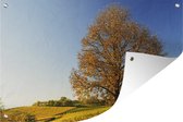 Tuinposter - Tuindoek - Tuinposters buiten - Kastanjeboom met een wijngaard landschap - 120x80 cm - Tuin