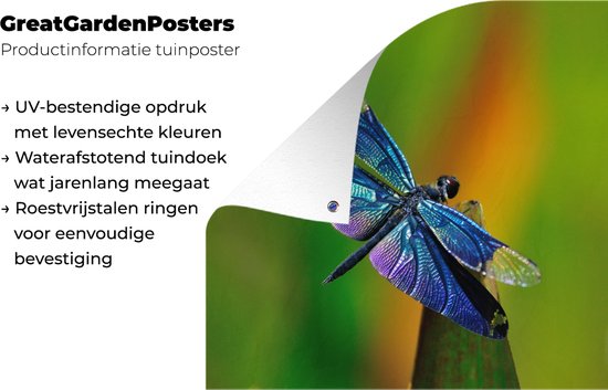 Affiche jardin Libellule - Une libellule bleue 180x120 cm - Toile jardin/Toile extérieur/ Peintures pour l'extérieur (décoration jardin) XXL / Groot format !