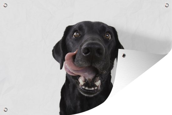 Affamé chien lèche les lèvres affiche de jardin toile en vrac 180x120 cm - Toile de jardin / Toile d'extérieur / Peintures d'extérieur (décoration de jardin) XXL / Groot format!