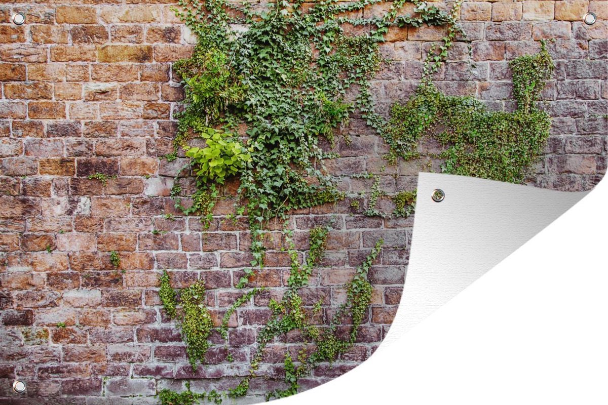 Plantes grimpantes sur un vieux mur avec des briques 180x120 cm XXL / Groot  format! | bol.com