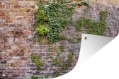 Muurdecoratie Klimplanten op een oude muur met bakstenen - 180x120 cm - Tuinposter - Tuindoek - Buitenposter