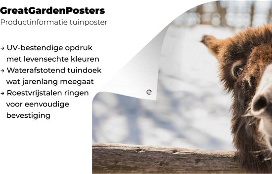 Curious chevalet affiche de jardin en vrac 120x80 cm - Toile de jardin / Toile d'extérieur / Peintures pour l'extérieur (décoration de jardin)