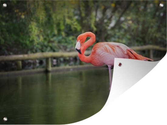 Tuinschilderij Een flamingo staat op een poot in het water - 80x60 cm - Tuinposter - Tuindoek - Buitenposter