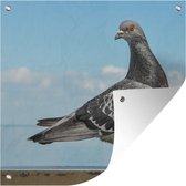 Un beau pigeon assis sur un mur au bord de la mer affiche de jardin 100x100 cm - Toile de jardin / Toile d'extérieur / Peintures pour l'extérieur (décoration de jardin)