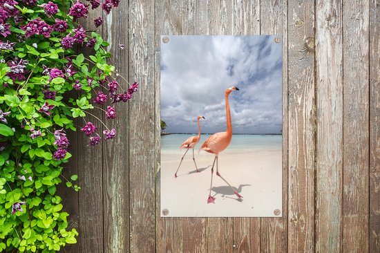 Deux flamants roses sur une île à Aruba affiche de jardin toile en vrac 40x60 cm - petit - toile de jardin / toile d'extérieur / Peintures pour l'extérieur (décoration de jardin)