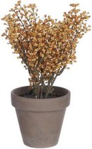 Mica Decorations Kunstplant Astilbe 21 Cm Keramiek Oranje