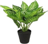Countryfield Kunstplant Calathea S 25 X 25 Cm Zijde Groen/Zwart