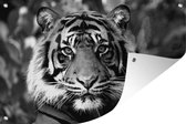 Affiche de jardin Tigre de Sumatra dans la jungle - noir et blanc - 120x80 cm - Jardin