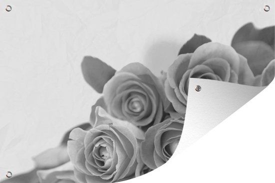 Décoration de jardin Gros plan d'un bouquet de roses roses - noir et blanc  - 60x40 cm... | bol.com