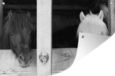 Tuinposter - Tuindoek - Tuinposters buiten - Paarden - Paardenstal - Planken - 120x80 cm - Tuin