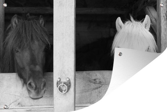 Tuinposter - Tuindoek - Tuinposters buiten - Paarden - Paardenstal - Planken - 120x80 cm - Tuin