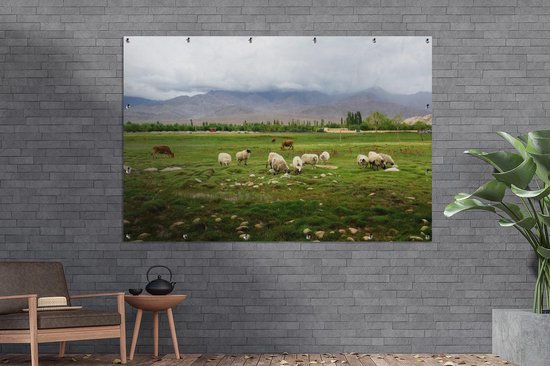 Décoration murale Mouton - Nourriture - Herbe - 180x120 cm - Affiche jardin