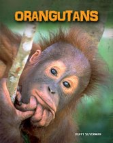 Living in the Wild: Primates - Orangutans