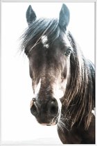 JUNIQE - Poster in kunststof lijst Horse -40x60 /Bruin & Ivoor