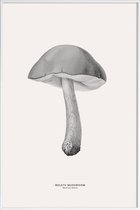 JUNIQE - Poster in kunststof lijst Bolete Mushroom -30x45 /Grijs &