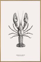 JUNIQE - Poster met kunststof lijst American Lobster -30x45 /Grijs &