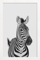 JUNIQE - Poster in houten lijst Zebra Classic -30x45 /Wit & Zwart
