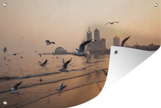 Seagulls on the beach of Qingdao in China Garden poster 60x40 cm - small - Toile de jardin / Toile d'extérieur / Peintures pour l'extérieur (décoration de jardin)