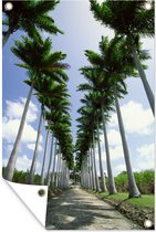 Muurdecoratie De schaduwen op de weg door een rij met palmbomen - 120x180 cm - Tuinposter - Tuindoek - Buitenposter