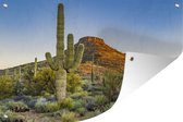 Cactus Saguaro 60x40 cm