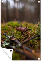 Muurdecoratie Natte paddenstoel in het bos - 120x180 cm - Tuinposter - Tuindoek - Buitenposter