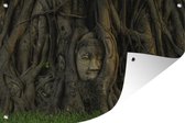 Tuinposter - Tuindoek - Tuinposters buiten - Door bomen overwoekerd beeld van Boeddha - 120x80 cm - Tuin