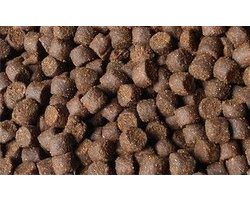 Steur voer perfect uitgebalanceerd 16mm. Bolies steurvoer 44% eiwitten 20kg.
