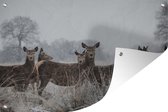 Tuindecoratie Herten - Gras - Sneeuw - Winter - 60x40 cm - Tuinposter - Tuindoek - Buitenposter