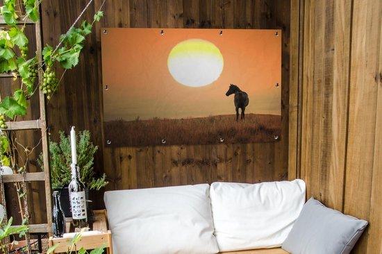 Affiche de jardin Cheval sauvage sur prairie 120x80 cm - Toile de jardin / Toile d'extérieur / Peintures pour l'extérieur (décoration de jardin)