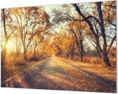 Wandpaneel Bos in de herfst  | 120 x 80  CM | Zilver frame | Wand-beugels (27 mm)