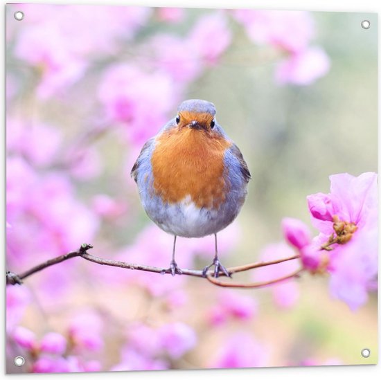 Tuinposter – Vogel op Tak in Bloesemboom - 80x80cm Foto op Tuinposter  (wanddecoratie voor buiten en binnen)