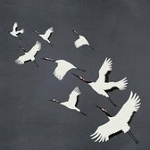 Origin fotobehang kraanvogels donkergrijs | 357235 | 3 x 3 m|