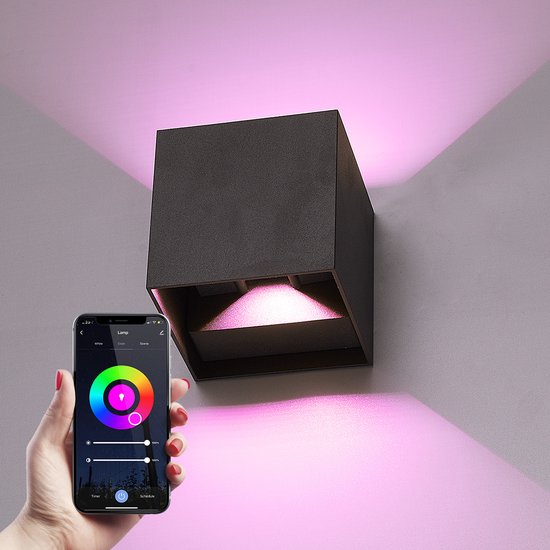 Hoftronic Smart Kansas wandlamp - zwart