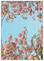 Poster Met Witte Lijst - Tabebuia Bloem Poster