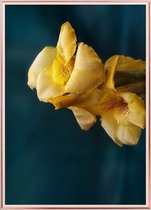 Poster Met Metaal Rose Lijst - Gele Iris Poster