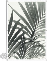 Tuinposter Palmbladeren
