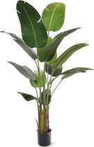 Maxifleur kunstplanten - Strelitzia Nicolai - kunstboom voor binnen - 190 cm