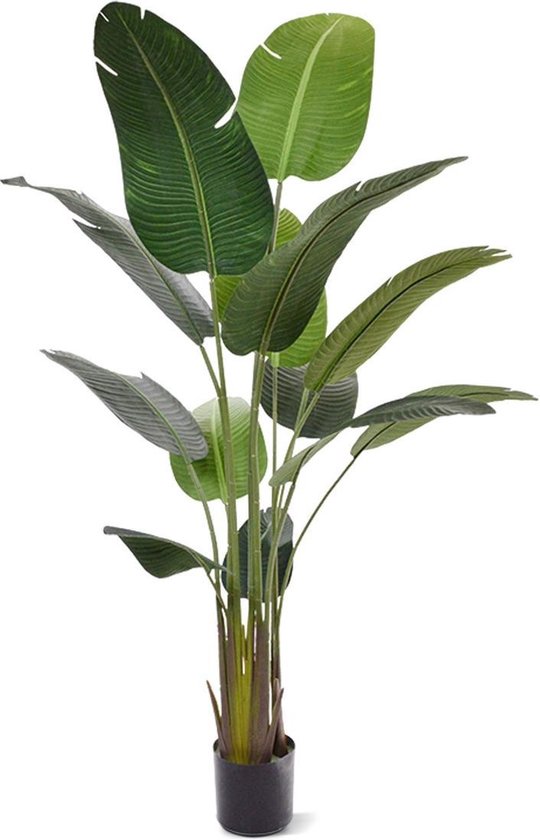 Plantes artificielles Maxifleur - Strelitzia Nicolai - arbre artificiel d'  Maxifleur -... | bol.com