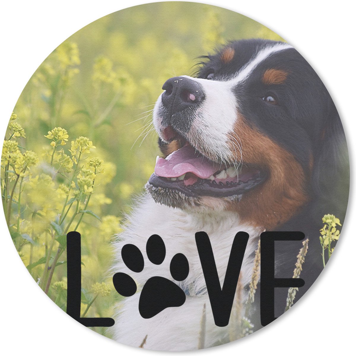 Muismat Honden Quotes - Honden quote 'Love' en een hond op de achtergrond Muismat rond - 20x20 cm - Muismat met foto