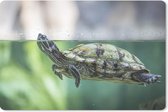 Muismat Schildpad - Close-up foto van schildpad muismat rubber - 27x18 cm - Muismat met foto
